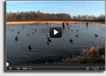 DU-TV Better Waterfowling Tip