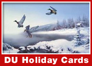 DU Holiday Cards