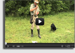 Retriever Training