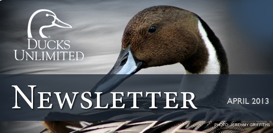Ducks Unlimited Newsletter: April 2013