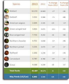2013 Duck Numbers