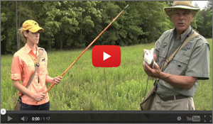 Retriever Training Tip