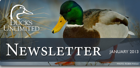 Ducks Unlimited Newsletter: January 2013