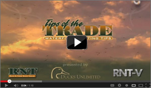 Duck Calling Tips
