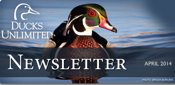 Ducks Unlimited Newsletter
