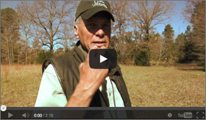 Retriever Training Tip
