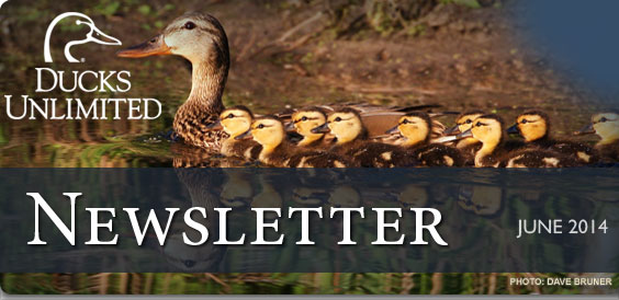 Ducks Unlimited Newsletter