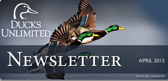 Ducks Unlimited Newsletter