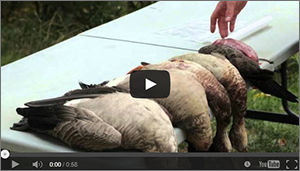 DU TV Duck Tactics with Tyson Tabler