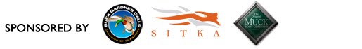 DU Films Sponsors
