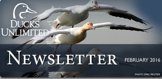 Ducks Unlimited Newsletter
