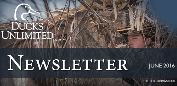 Ducks Unlimited Newsletter
