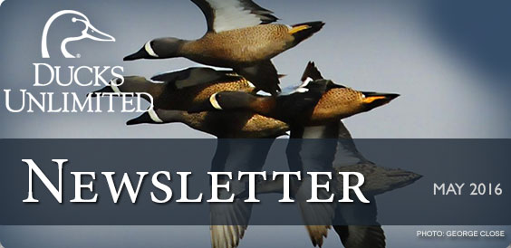 Ducks Unlimited Newsletter