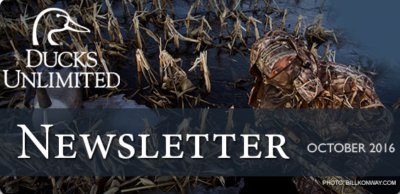 Ducks Unlimited Newsletter
