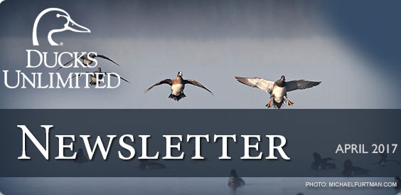 Ducks Unlimited Newsletter