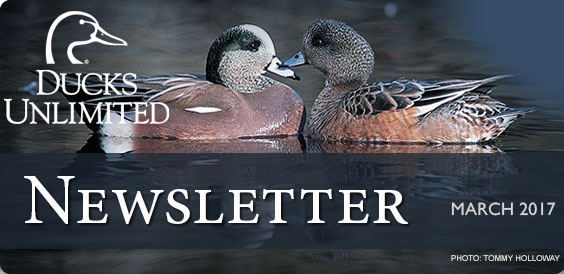 Ducks Unlimited Newsletter