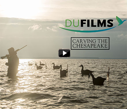 DU Films - Carving the Chesapeake