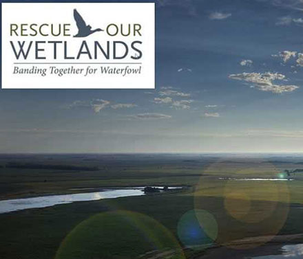 Rescue Our Wetlands