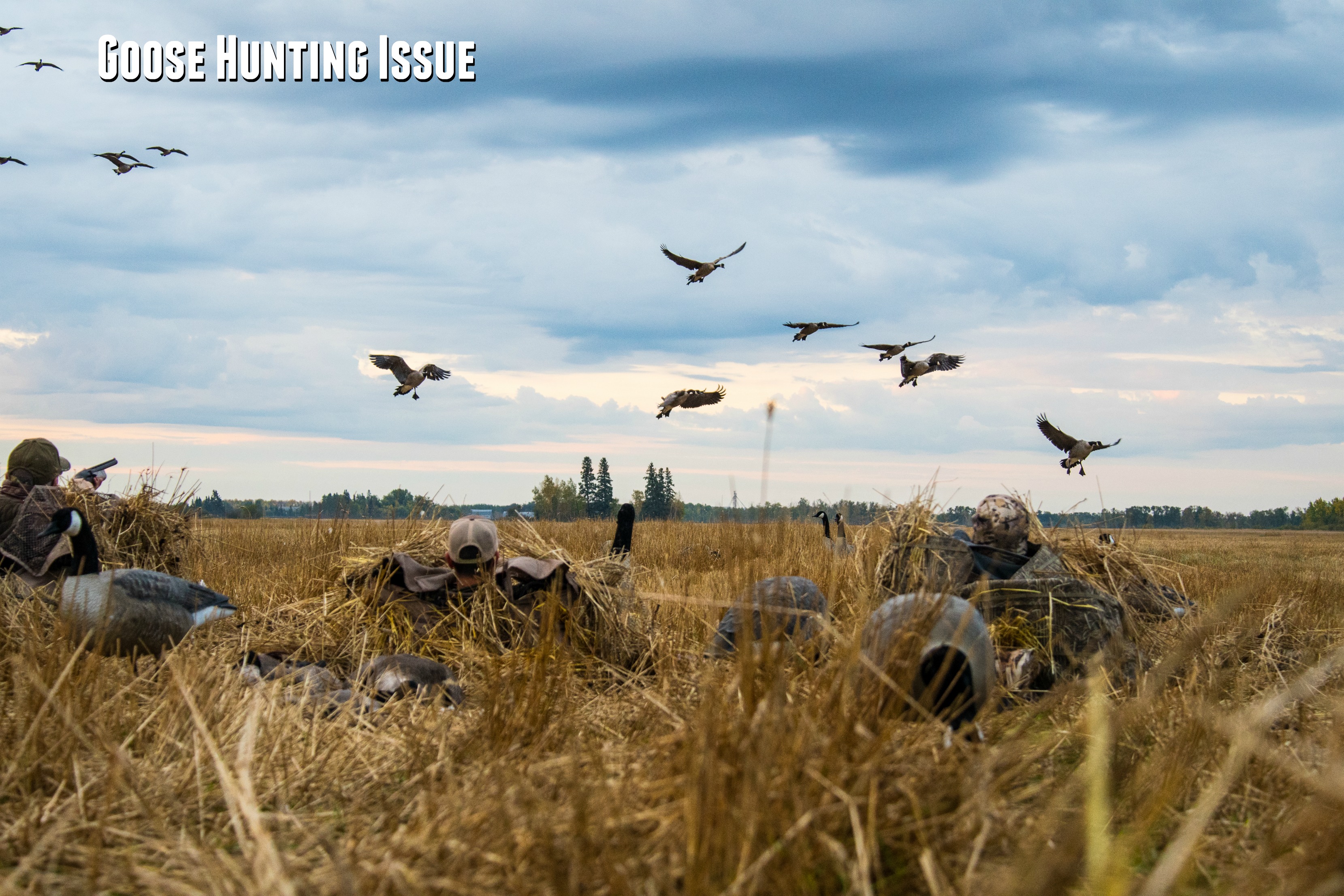 The Goose Hunting Issue: November 2017